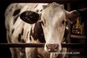 ksa-bans-8-practices-deemed-harmful-to-animals-_saudi