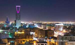 official-praises-ksa’s-commitment-to-human-rights_UAE