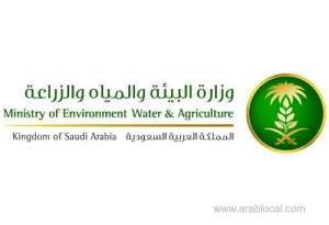 mew-restored-an-old-wattles-tree-near-al-aqiq-dam_UAE