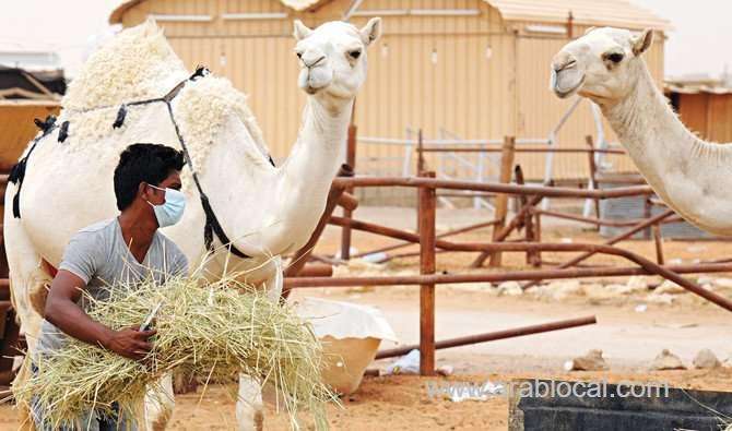 saudi-arabia-won-the-war-against-mers-saudi