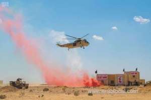 bright-star-2018-military-drills-continue-in-egypt_UAE