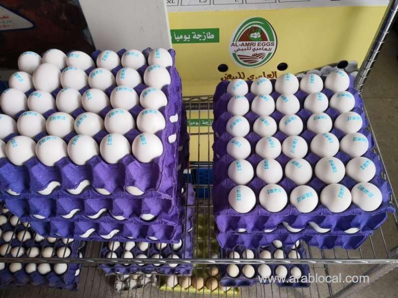 increase-in-egg-price-is-not-going-well-with-the-cafeterias-saudi