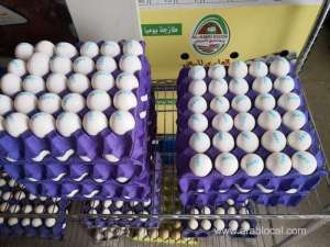 increase-in-egg-price-is-not-going-well-with-the-cafeterias_UAE