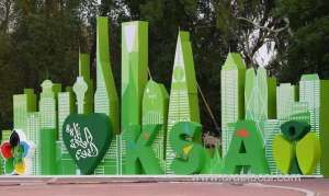 saudi-arabia’s-road-to-profound-changes,-in-the-eyes-of-outsiders_UAE
