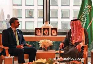 emirati-officials-cite-solid-saudi-uae-ties_saudi