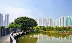 china-arab-forum-calls-to-develop-sustainable-cities_UAE