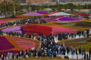 flower-show-of-yanbu-has-been-attracting-tens-of-thousands-of-visitors_saudi