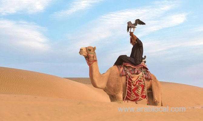 abqaiq-safari-festival-attracts-200,000-visitors-saudi