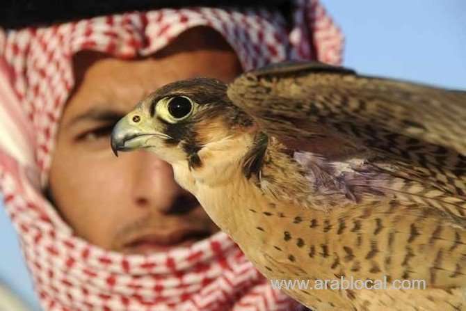 saudi-falconry-festival-set-to-open-on-jan-25-saudi