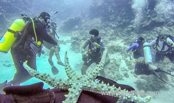 family-adventure-finds-new-depths-saudi