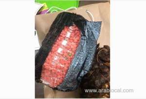 saudi-customs-thwart-attempts-to-smuggle-thousands-of-tramadol,-methamphetamine-pills-_UAE