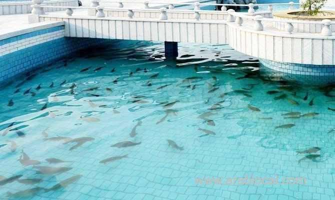 fund-to-support-70-pc-of-fish-farming-projects-in-saudi-arabia-saudi