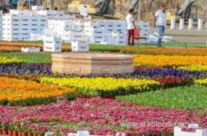 makkah-all-set-for-its-first-flower-festival-previous_UAE