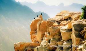 saudi-tourism-authority-seeks-to-boost-number-of-saudis-in-tourism-sector_UAE