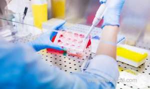 saudis-urged-to-become-stem-cell-donors_UAE