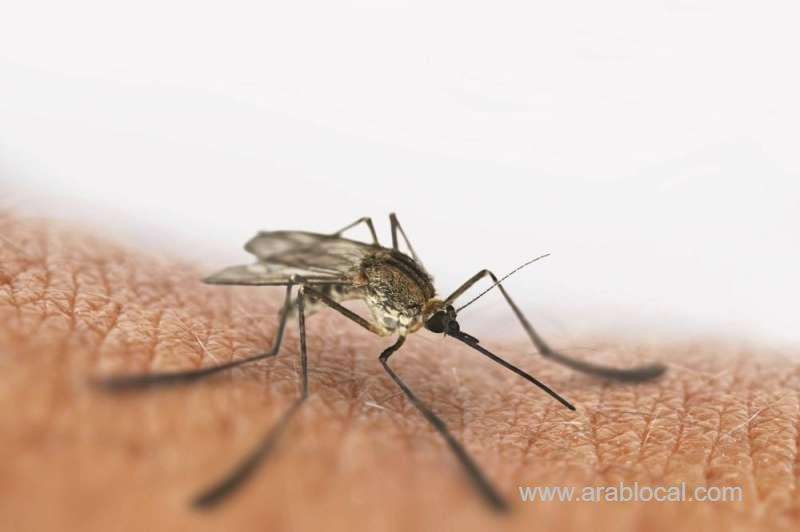 expansion-of-multidrug-resistant-malaria-in-southeast-asia-saudi