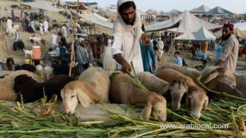afghans-hope-for-peace-amid-eid-preparations-saudi