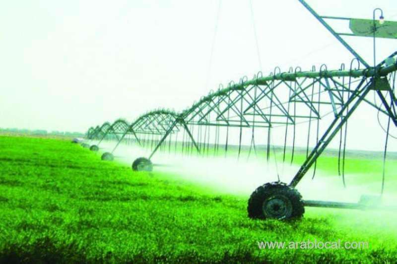 saudi-arabia-will-ban-the-export-of-4-new-crops-by-november-saudi