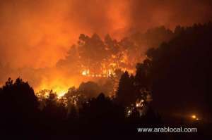 wildfire-raged-out-of-control-on-spanish-island-of-gran-canaria-_UAE