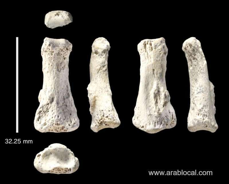 85,000-year-old-finger-bone-may-rewrite-the-story-of-human-migration-out-of-africa-saudi