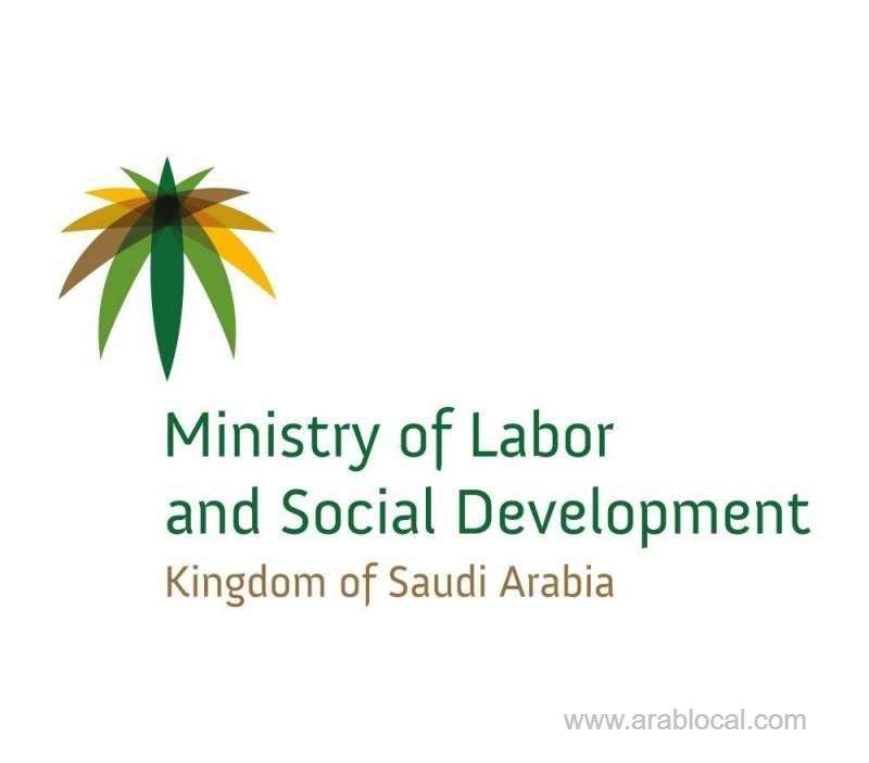 148,482-visas-under-private-driver-issued-during-the-first-quarter-of-2019-saudi