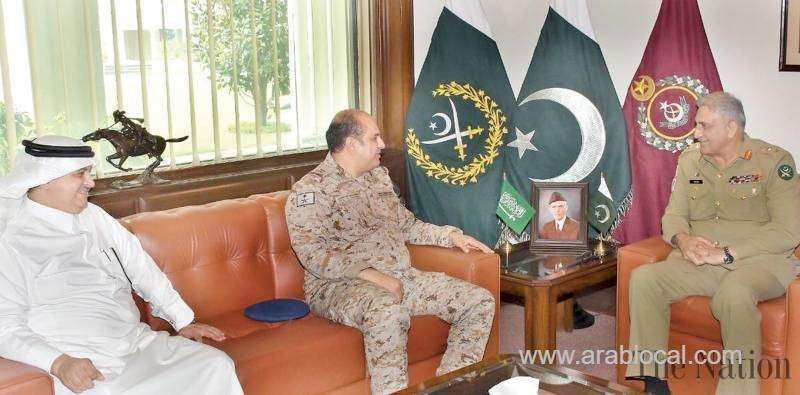 pakistan,-saudi-discuss-defense-cooperation-saudi