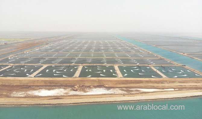 saudi-project-aims-to-make-kingdom-self-sufficient-in-seafood-production-saudi