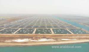 saudi-project-aims-to-make-kingdom-self-sufficient-in-seafood-production_UAE