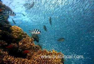 amaala-partners-with-monaco-foundation-to-protect-marine-environment_UAE