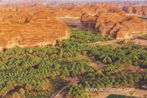paris-exhibition-to-showcase-alula-—-saudi-arabia’s-natural-wonder_UAE