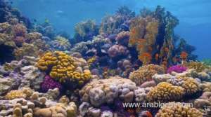 saudi-tourism-megaproject-aims-to-turn-red-sea-green_UAE