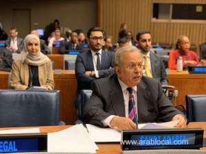 saudi-supporting-peacekeeping-operations--envoy_UAE