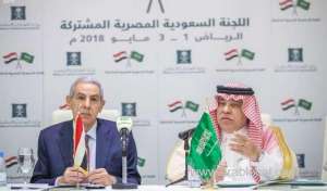 trade-between-saudi-arabia-and-egypt-has-increased_UAE