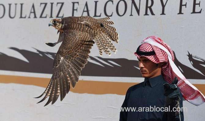 saudi-falcons-club-preparations-take-flight-ahead-of-festival-saudi