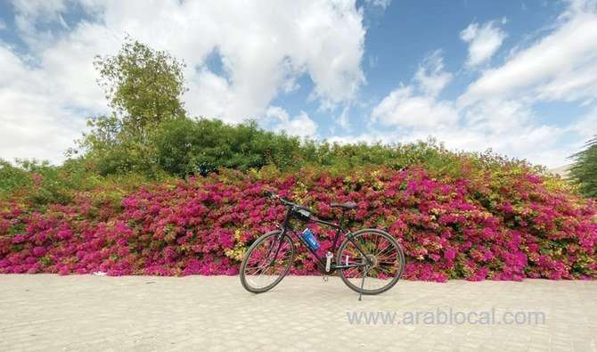 startup-of-week--spin-cycling-one’s-way-to-better-health-and-lifestyle-saudi