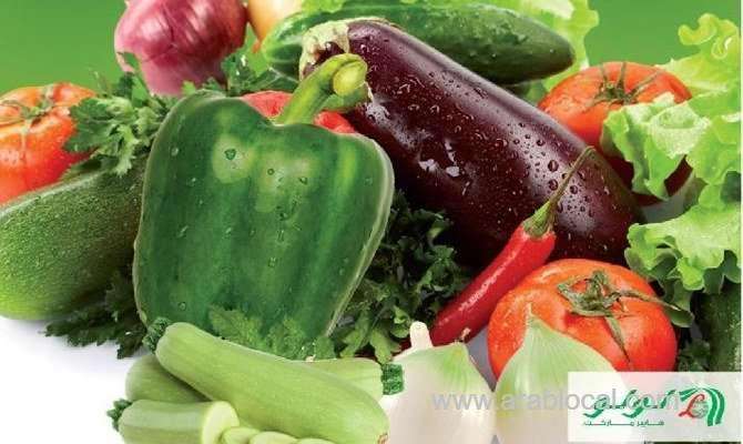 vegan-event-feeds-a-growing-market-in-jeddah-saudi