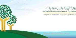 ksa-wins-twoyear-presidency-of-desert-locust-control-committee_UAE