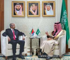 saudi-ministers-host-talks-with-leading-foreign-officials_UAE