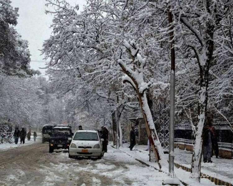 80-dead-as-severe-weather-hits-pakistan-and-afghanistan-saudi