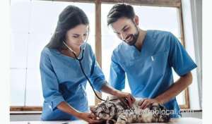 saudi-pet-owners-protest-high-bills-and-low-care-standards_UAE