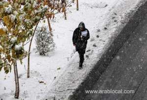 snow-shuts-schools-delays-flights-in-iran-capital_UAE