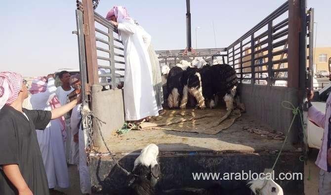 saudi-lifts-ban-on-sudans-livestock-imports-saudi