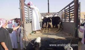 saudi-lifts-ban-on-sudans-livestock-imports_UAE