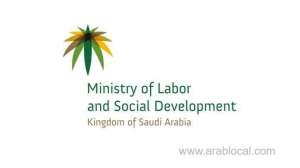 domestic-workers-can-now-transfer-sponsorship-to-establishments_UAE