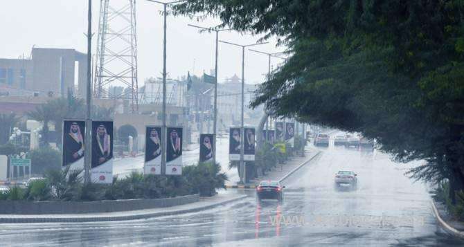 saudi-arabia-receives-166bn-cubic-meters-of-rain-annually-saudi