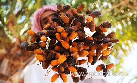 al-ahsa-dates-and-related-products-flows-to-the-market-as-ramadan-nears-saudi