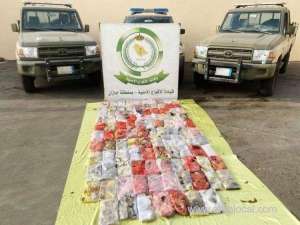 saudi-jazan-police-have-stopped-an-attempt-to-smuggle-107kg-of-hashish_UAE