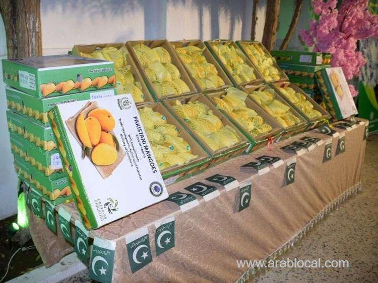 pakistani-mango-festival-held-in-saudi-red-sea-city-of-jeddah--saudi