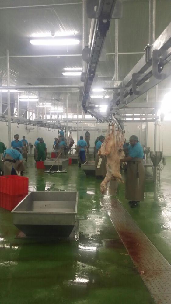 Villa shut as workers found preparing unhygienic food