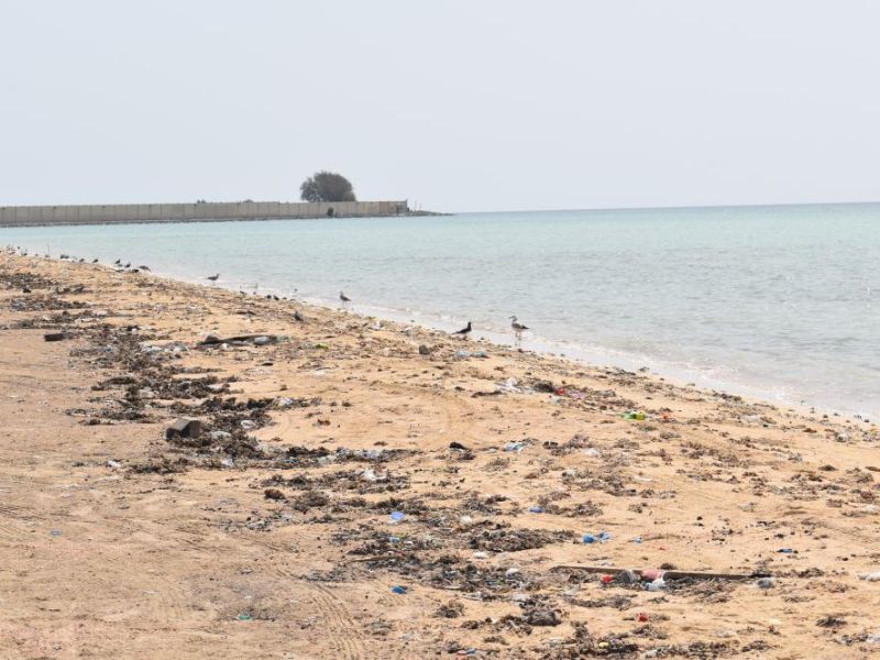 Elementary pupils from Jeddah Private International School lend a hand to clean up Salman beach
